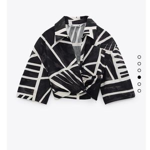 ZARA Printed Crop Top
